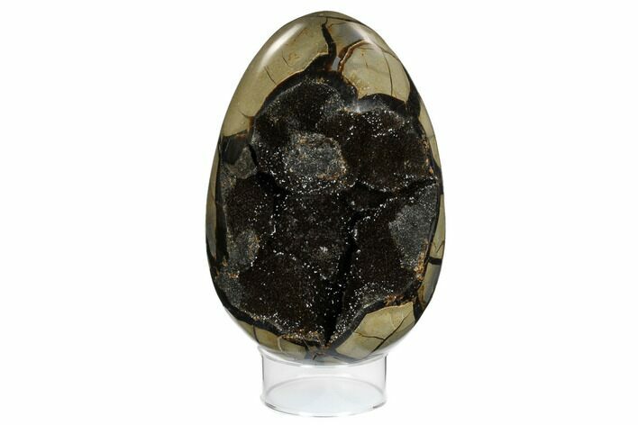 Septarian Dragon Egg Geode - Black Crystals #172801